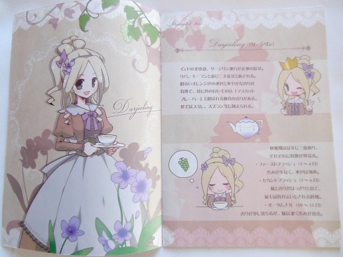 Ruellia Tea Garden - Darjeeling